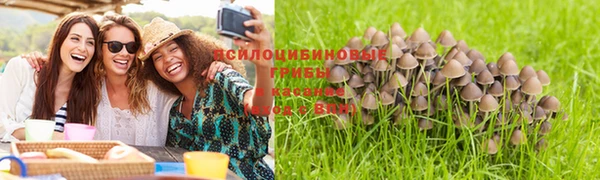 герыч Аркадак