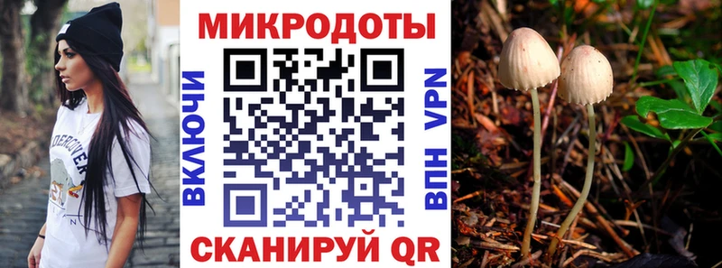 Псилоцибиновые грибы прущие грибы закладка Железногорск-Илимский